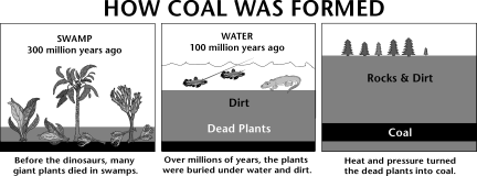 Three images showing how coal was formed.
The first iimage is of a swamp, 300 million years ago. Before the dinosaurs, many giant plants died ins swamps.
The second image is of water, 100 million years ago. Over millions of years, these plants were buried under water and dirt.
The third image is of rocks and dirt over the coal. Heat and pressure turned the dead plants into coal.